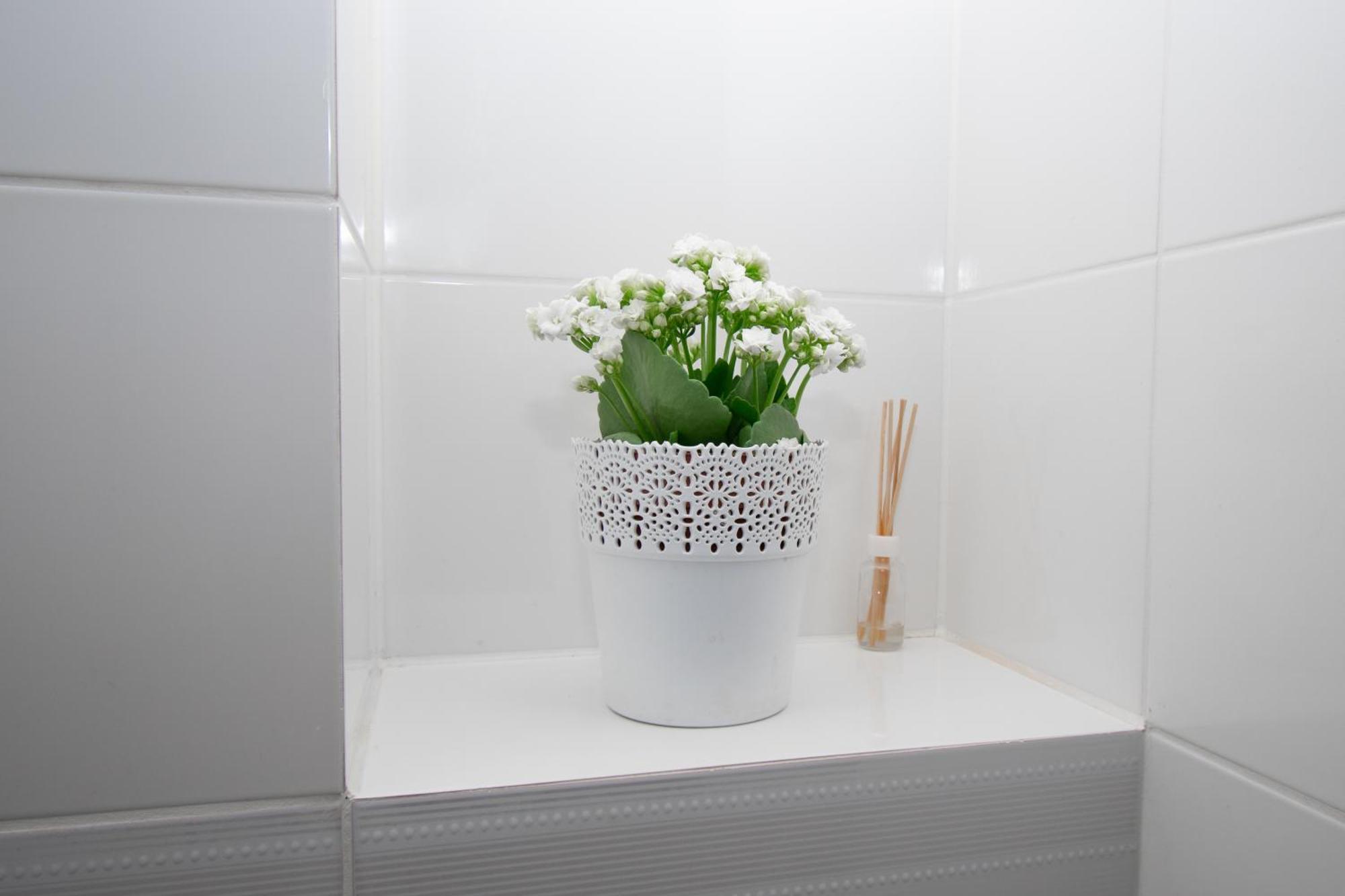 Apartament Przy Zdrojowej Ciechocinek Esterno foto