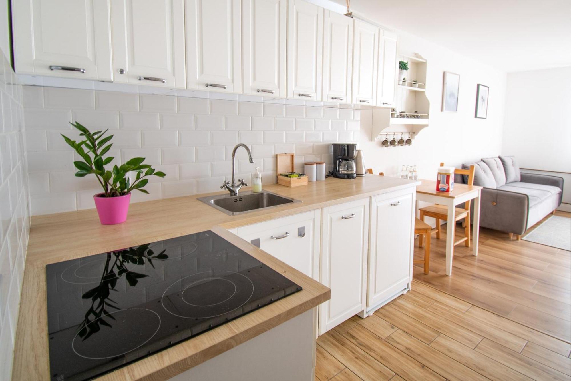 Apartament Przy Zdrojowej Ciechocinek Esterno foto